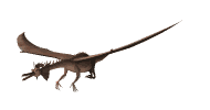 drago sottile vola.gif